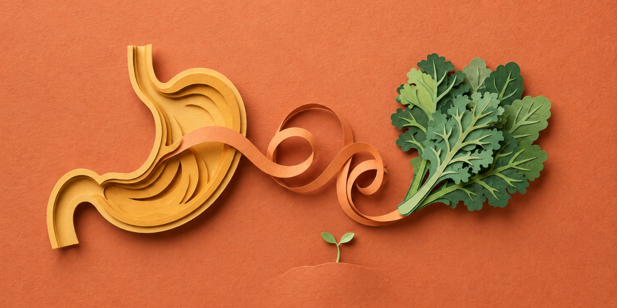 Understanding Your Metabolism: Why It’s About More Than Weight